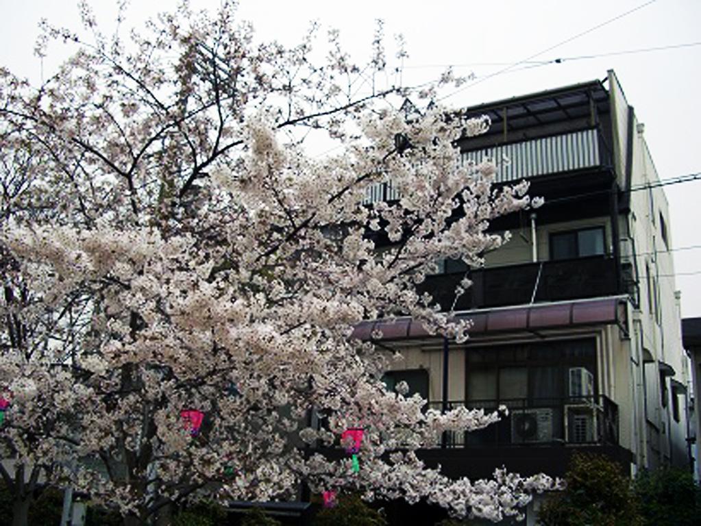 W.K Inn Osaka Eksteriør billede